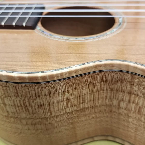 Custom Acoustic Guitar