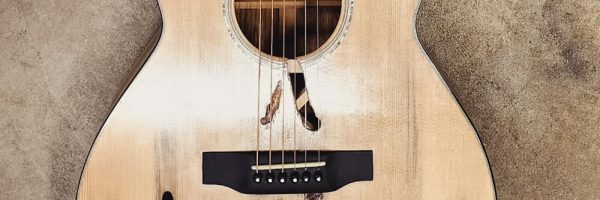 Mollusk Guitar